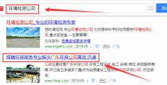 廣東世紀(jì)輝騰環(huán)?？萍加邢薰九c我司做網(wǎng)站推廣項目