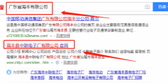 廣東省海豐縣中聯(lián)電子廠有限公司與我司簽署網站制作項目