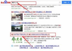 重慶虎普環(huán)?？萍加邢薰竞捅竟竞灱sSEO推廣合同