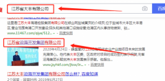江蘇省沿海開發(fā)集團(tuán)有限公司與本司簽約建網(wǎng)站項目