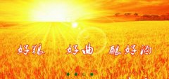 山東省梁山縣徐*生物工程有限公司網站建設新一代自助建站、智能建站系統