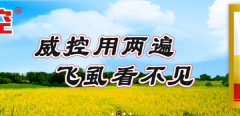 山西運城綠*實業(yè)有限公司網站建設有創(chuàng)意的主題設計