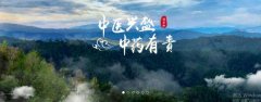 普洱淞*醫(yī)藥集團(tuán)有限公司網(wǎng)站建設(shè)新一代自助建站、智能建站系統(tǒng)
