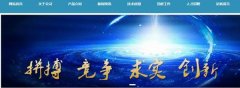 天水天光*導(dǎo)體有限責任公司網(wǎng)站建設(shè)營銷型案例作品