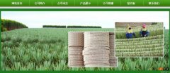 廣西玉林市長*劍麻有限公司企業(yè)網站建設新一代自助建站、智能建站系統(tǒng)