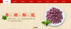 紅太*食品(榮成)有限公司制作網(wǎng)站新一代自助建站、智能建站系統(tǒng)