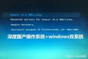 關于在Linux操作系統(tǒng)環(huán)境中深度探索如何高效部署Apache網(wǎng)絡服務